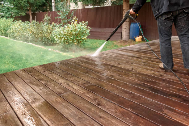 Solar Panel Cleaning in Bass Lake, IN
